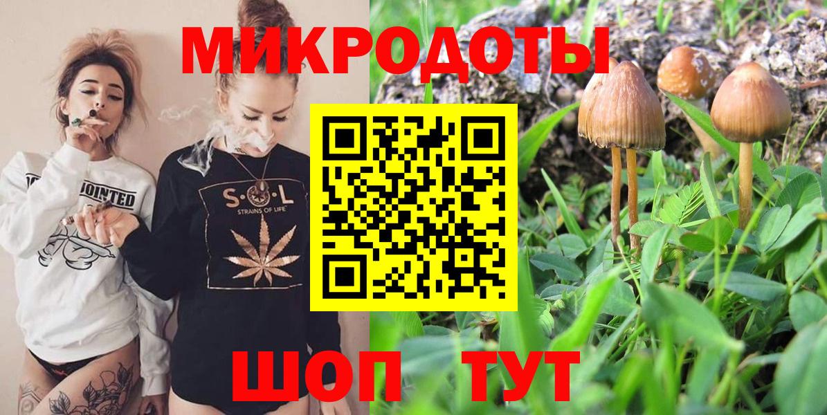 Красноуфимск  Псилоцибиновые грибы Cubensis  Вход с VPN 